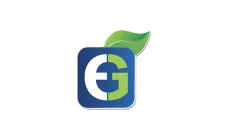 Economic Group (EG)